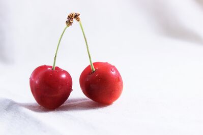 Keywords: spring,cherries,cherry,fruit