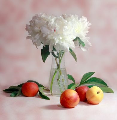 Keywords: flower,vase,plums