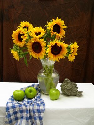 sunflowers-1599683_1920
Keywords: sunflowers