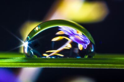 waterdrop-362499_1920
