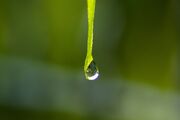 drops-3534138_1920.jpg