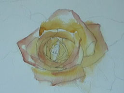 Use blending colors to paint a yellow rose
